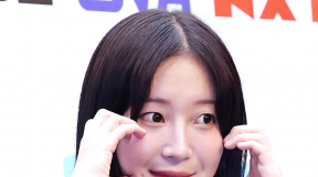 ̹