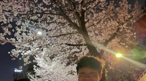 ̹