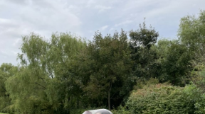 ����̹���