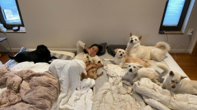 ����̹���