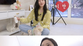 ����̹���