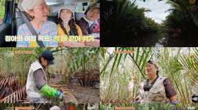 ����̹���